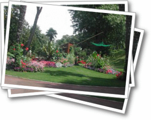 Parc des dryades