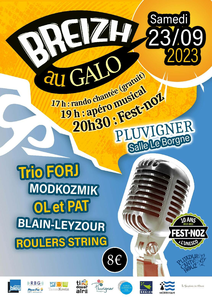 Fest Noz à Pluvigner